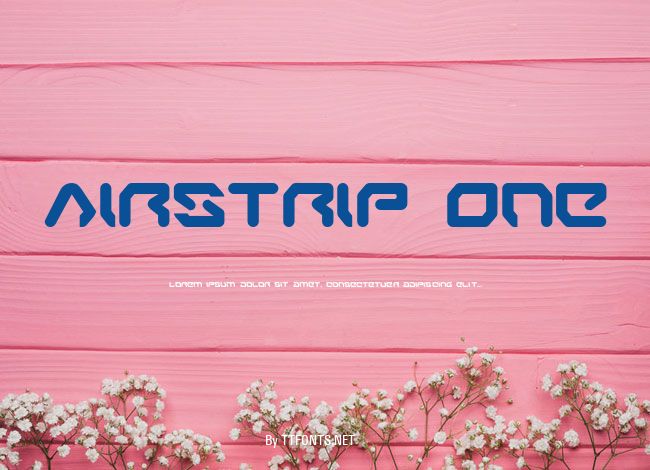 Airstrip One example
