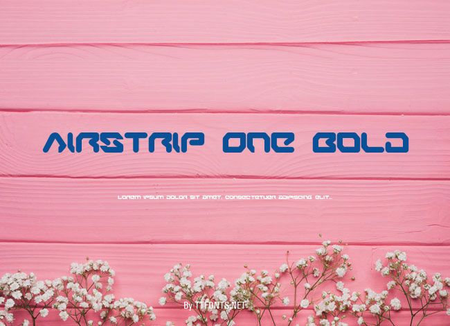 Airstrip One Bold example
