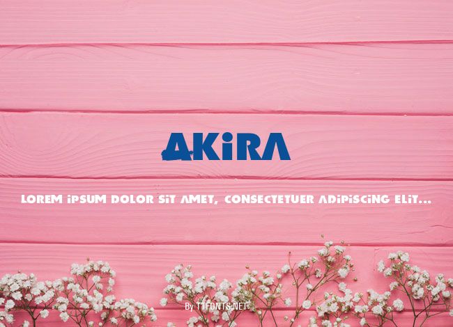 Akira example