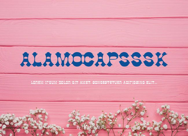 AlamoCapsSSK example