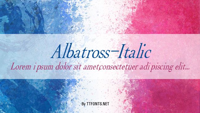 Albatross-Italic example