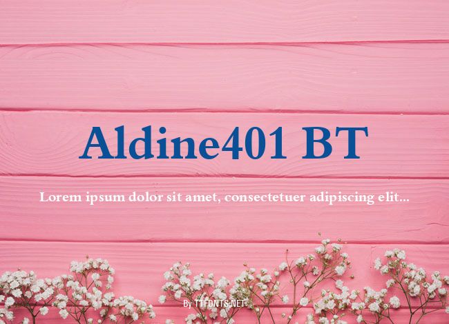 Aldine401 BT example