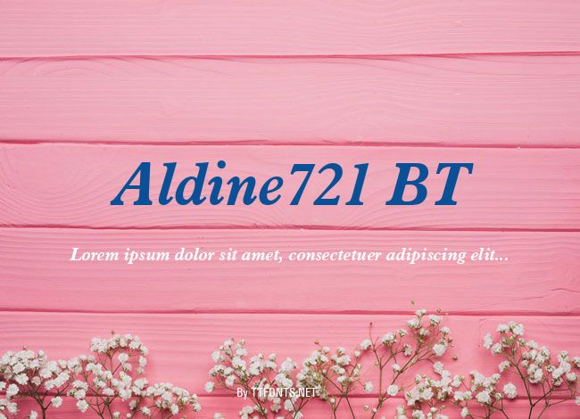 Aldine721 BT example
