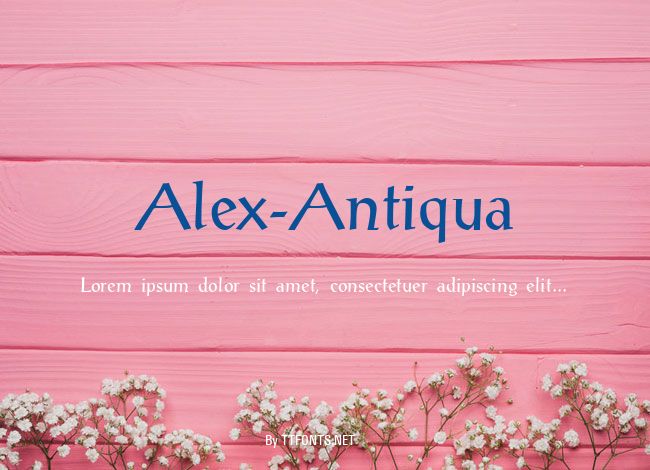 Alex-Antiqua example