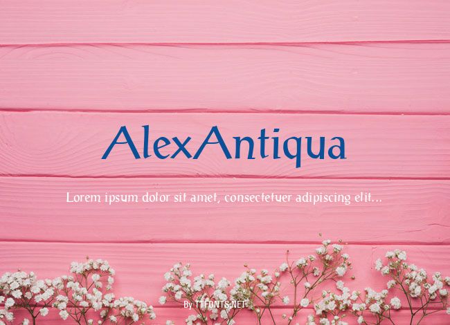 AlexAntiqua example