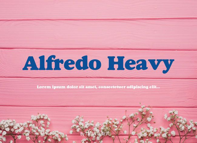 Alfredo Heavy example