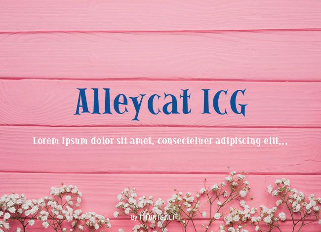 Alleycat ICG example