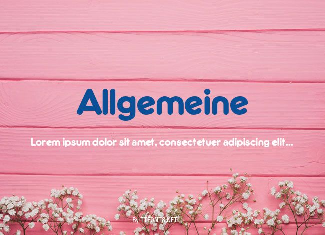 Allgemeine example
