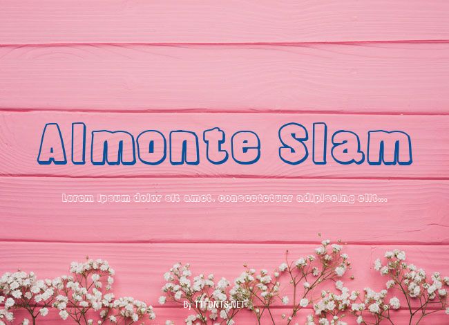 Almonte Slam example