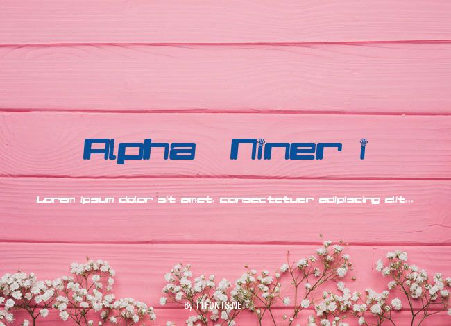 Alpha  Niner i example
