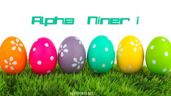 Alpha  Niner i example