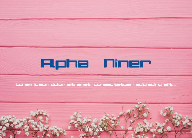 Alpha  Niner example