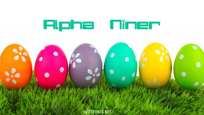 Alpha  Niner example