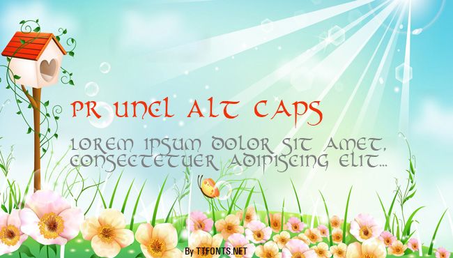 PR Uncl Alt Caps example