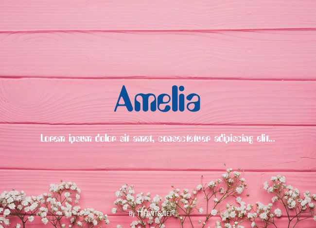 Amelia example