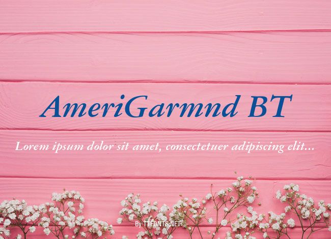 AmeriGarmnd BT example
