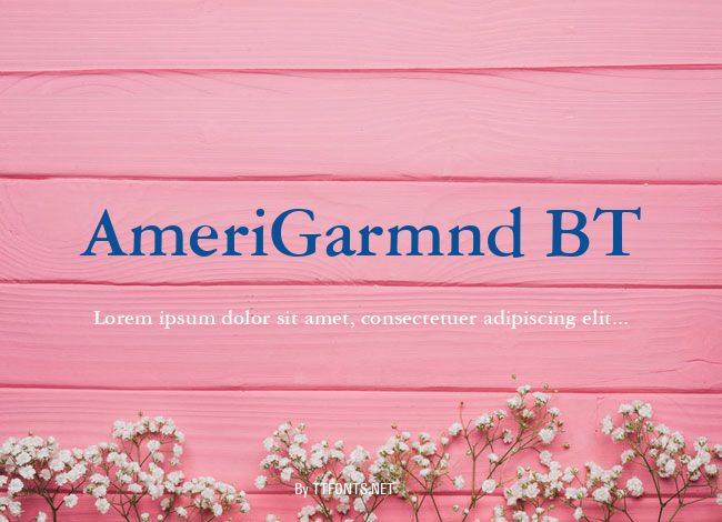 AmeriGarmnd BT example