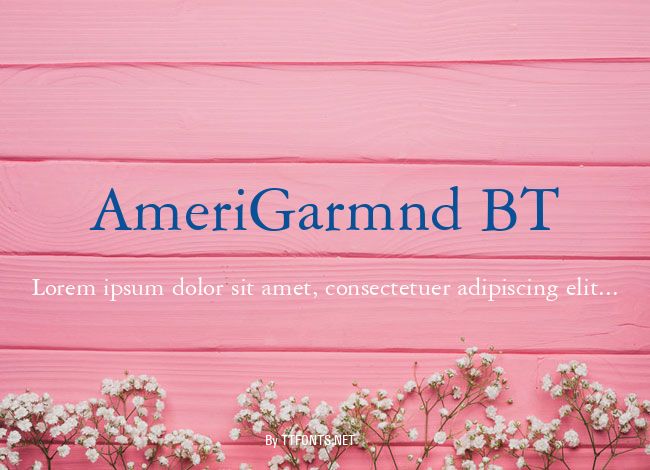 AmeriGarmnd BT example