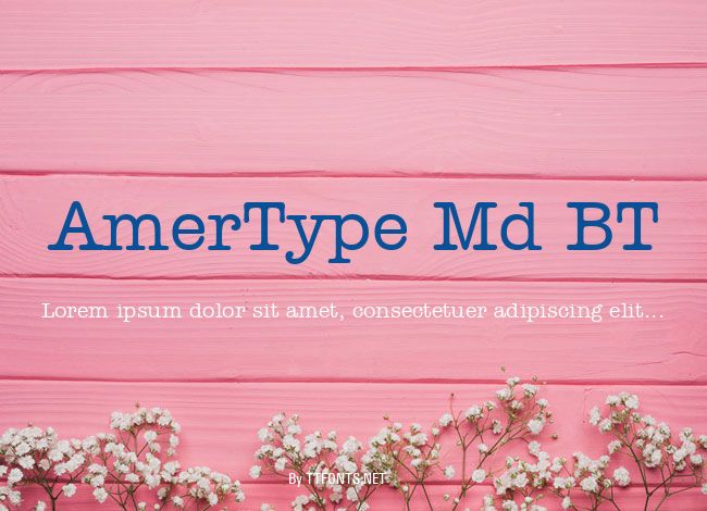 AmerType Md BT example