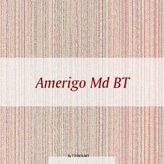 Amerigo Md BT example