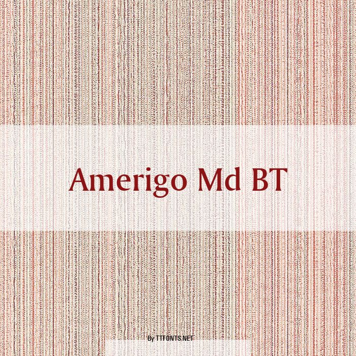 Amerigo Md BT example