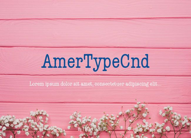 AmerTypeCnd example