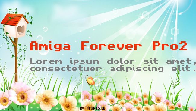 Amiga Forever Pro2 example