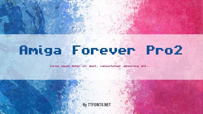 Amiga Forever Pro2 example