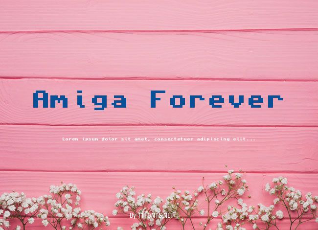Amiga Forever example