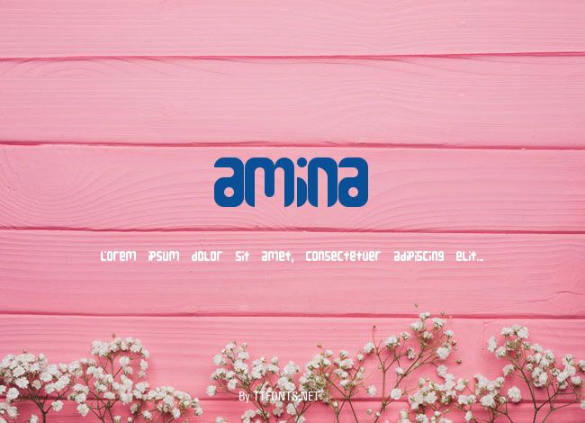 Amina example