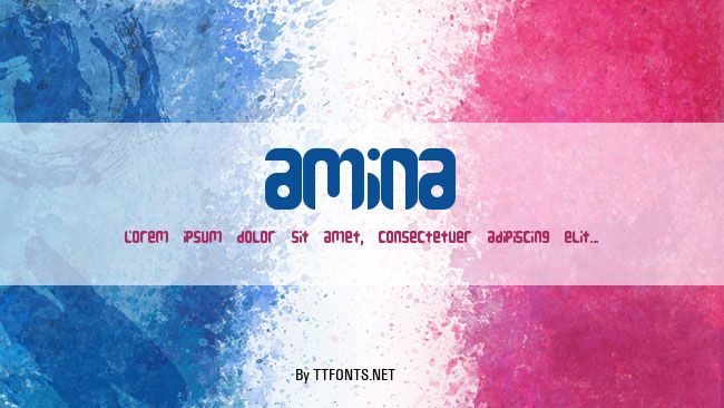 Amina example