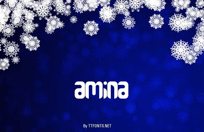 Amina example