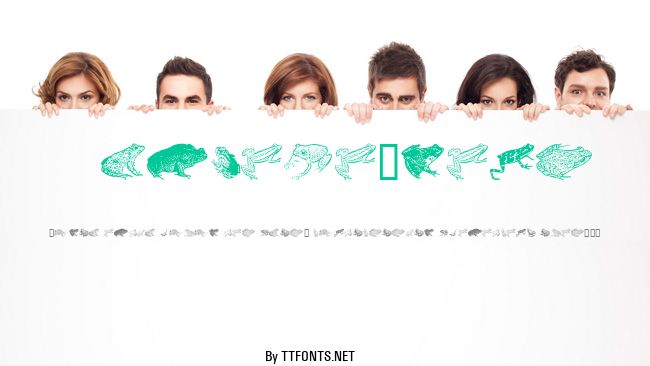 AmphibiPrint example