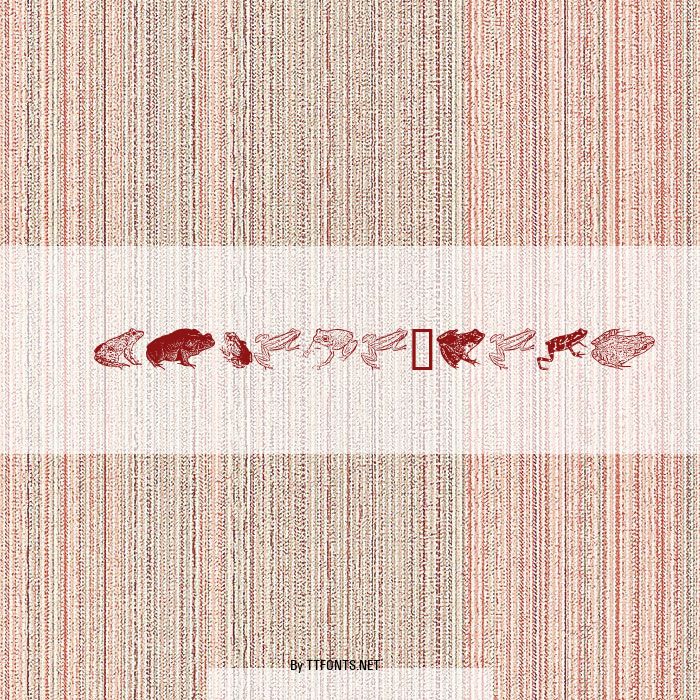 AmphibiPrint example