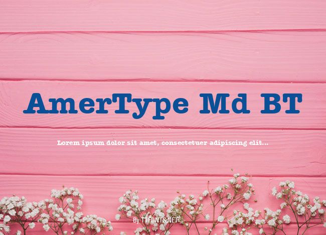 AmerType Md BT example