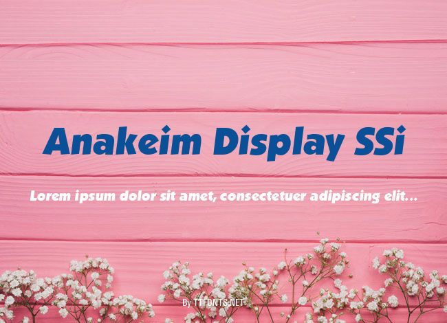 Anakeim Display SSi example