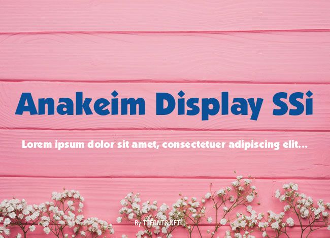 Anakeim Display SSi example
