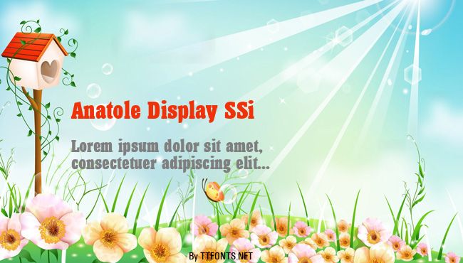 Anatole Display SSi example