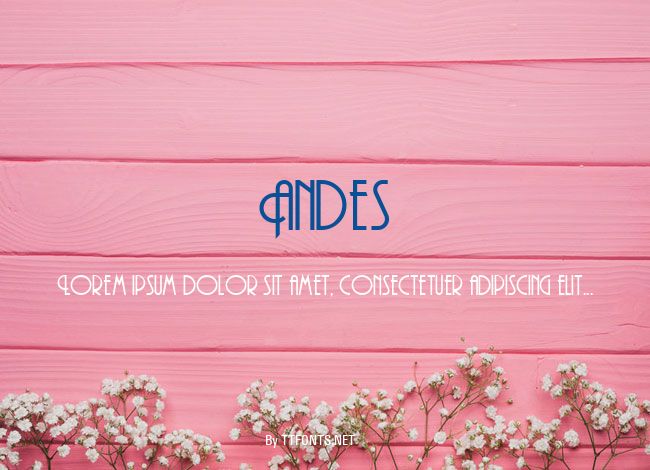 Andes example