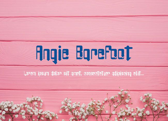 Angie BareFoot example
