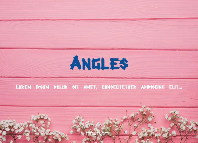 Angles example