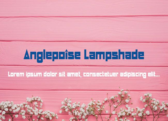 Anglepoise Lampshade example