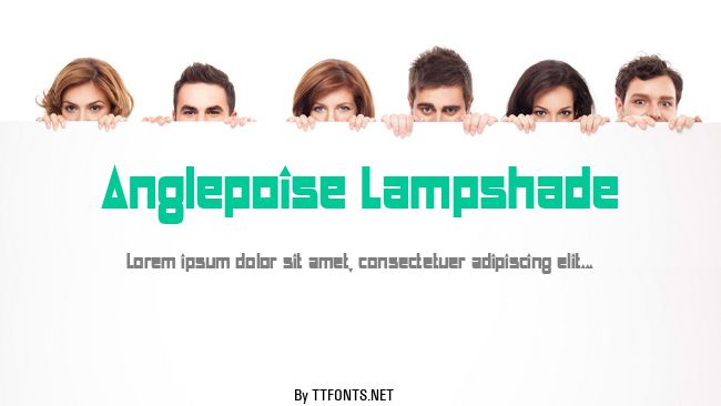 Anglepoise Lampshade example