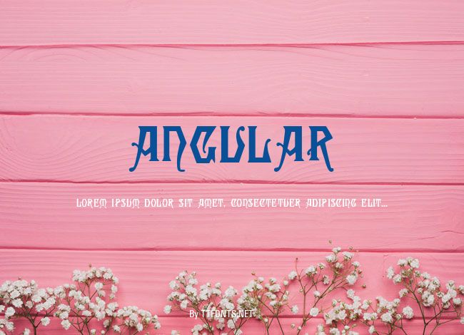 Angular example