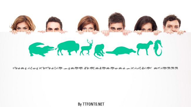 Animals example