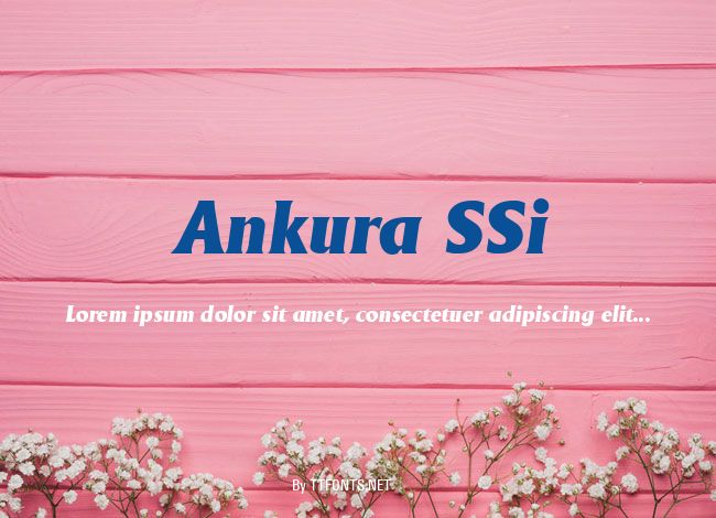 Ankura SSi example