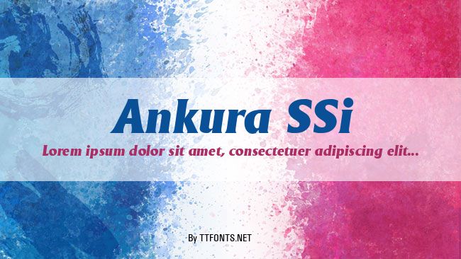 Ankura SSi example