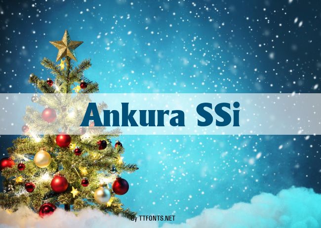 Ankura SSi example