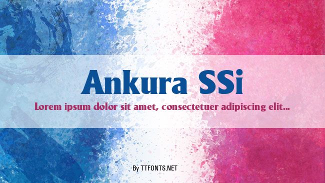 Ankura SSi example