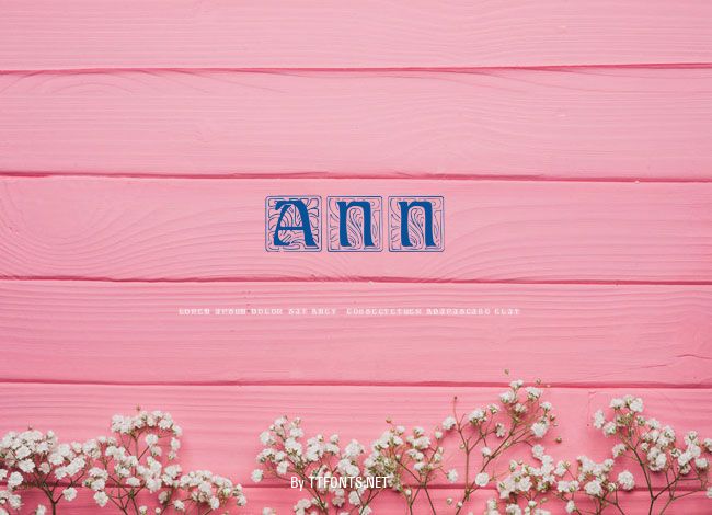 Ann example